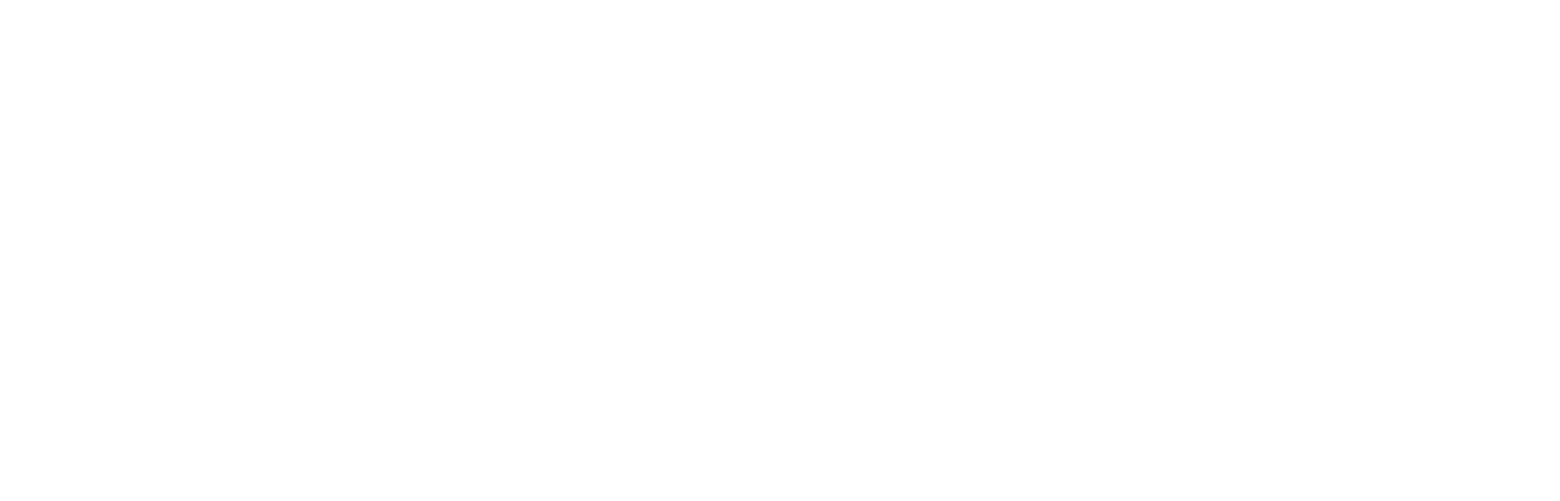 Envestnet_reverse_rgb