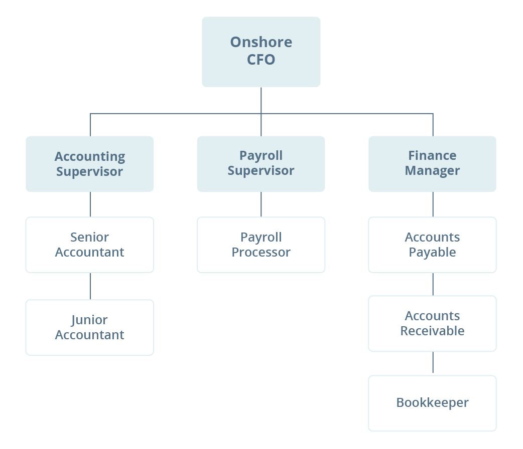 Finance team in medium to large enterprises