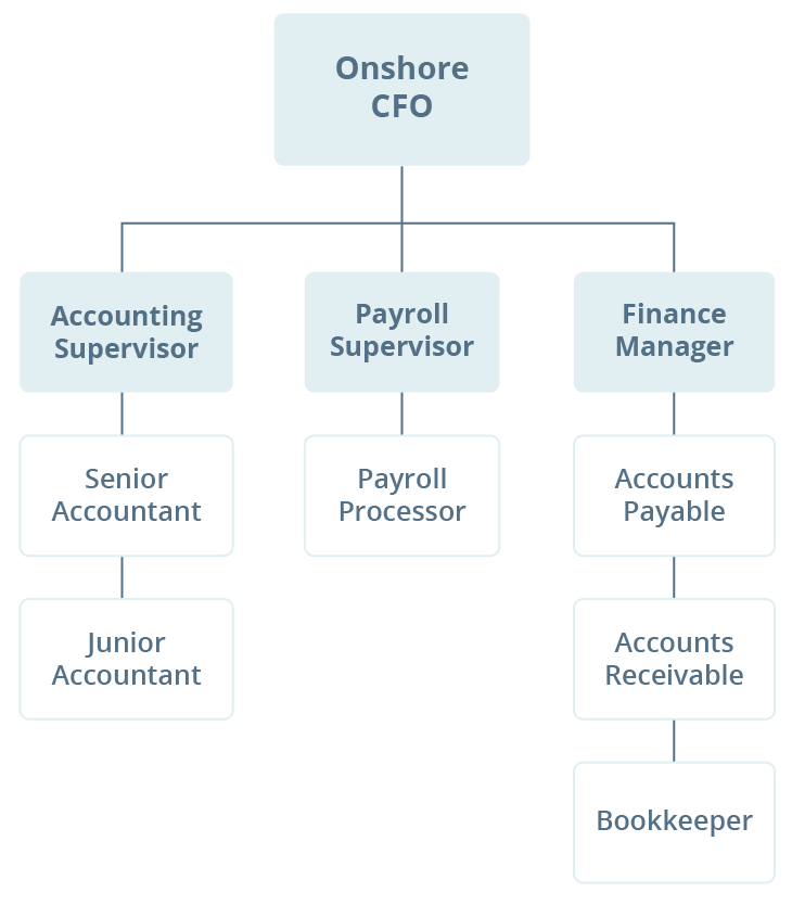 Finance team in medium to large enterprises