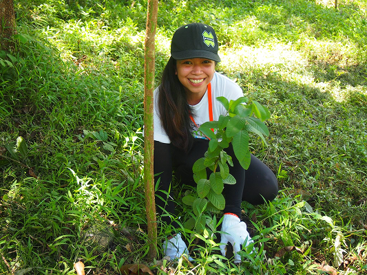 Staff member planting trees