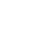 Vector