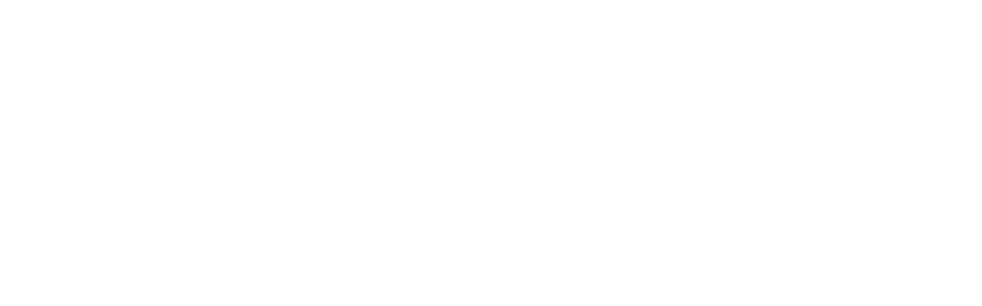 angular_wordmark_white