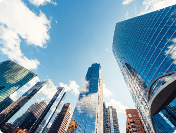 Insurance and risk management partner grew client business by 20% in 12 months